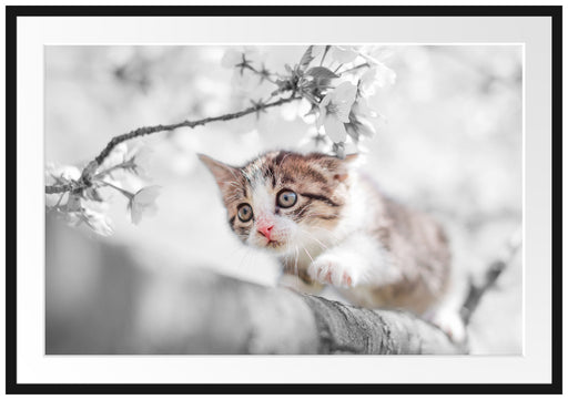 Süßes Kätzchen im Kirschbaum Passepartout 100x70