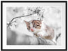 Süßes Kätzchen im Kirschbaum Passepartout 80x60
