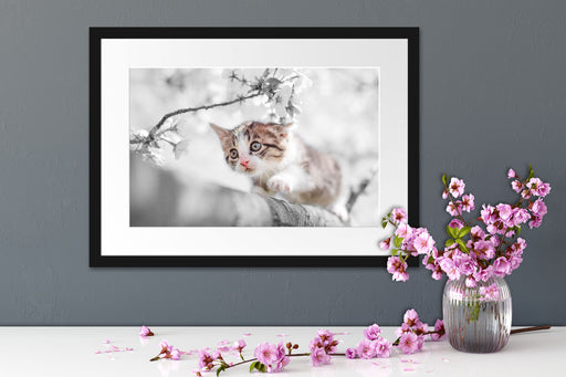 Süßes Kätzchen im Kirschbaum Passepartout Wohnzimmer