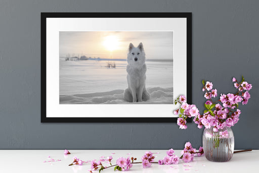 Weißer Wolf im Schnee Passepartout Wohnzimmer