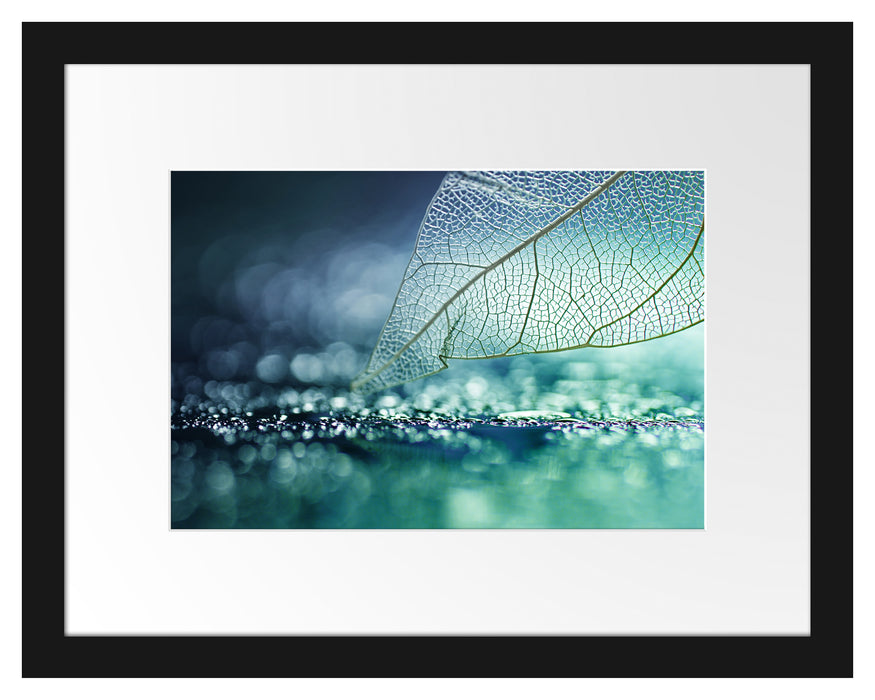 Pixxprint Nahaufnahme weißes Blattgerüst im Regen, im Galerie-Passepartout Bilderrahmen