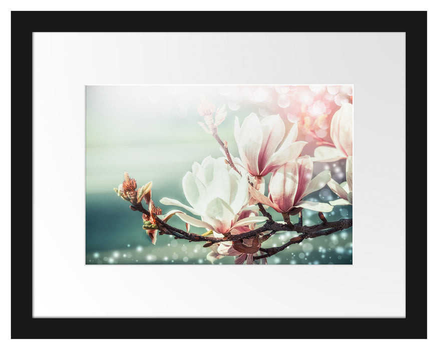 Pixxprint Wunderschöne Magnolien Nahaufnahme, im Galerie-Passepartout Bilderrahmen