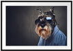 Lustiger Hund mit Hemd und Sonnenbrille Passepartout Rechteckig 100