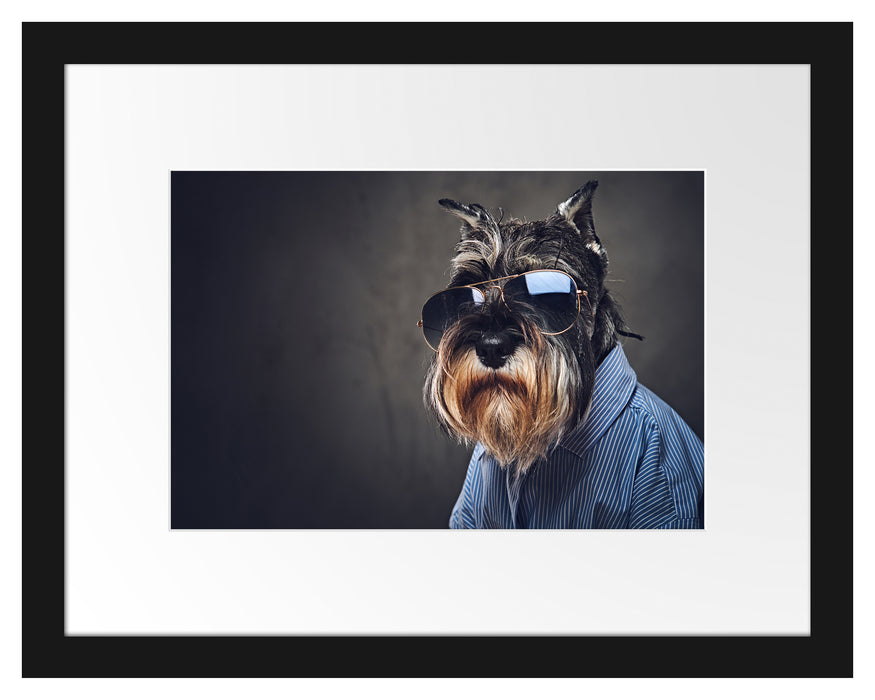 Pixxprint Lustiger Hund mit Hemd und Sonnenbrille, im Galerie-Passepartout Bilderrahmen