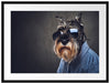 Lustiger Hund mit Hemd und Sonnenbrille Passepartout Rechteckig 80