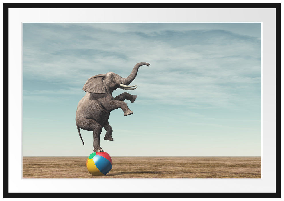 Elefant in der Wüste balanciert auf Ball Passepartout Rechteckig 100