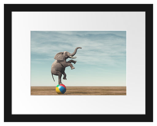 Elefant in der Wüste balanciert auf Ball Passepartout Rechteckig 30