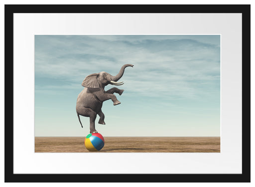 Elefant in der Wüste balanciert auf Ball Passepartout Rechteckig 40