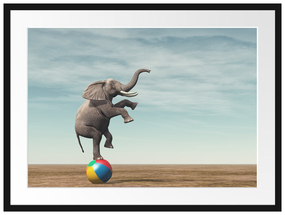 Elefant in der Wüste balanciert auf Ball Passepartout Rechteckig 80