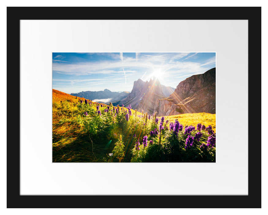 Pixxprint Bergwiese im Puez-Geisler Naturpark, im Galerie-Passepartout Bilderrahmen