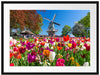 Holländisches Tulpenmeer vor Windmühle Passepartout Rechteckig 80