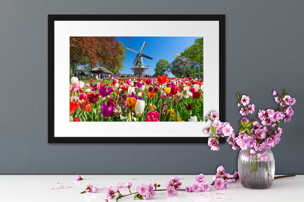 Holländisches Tulpenmeer vor Windmühle Passepartout Detail Rechteckig