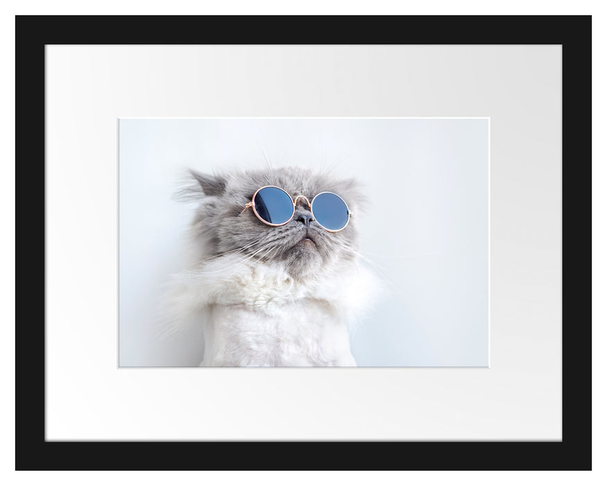 Pixxprint Coole Katze mit runder Sonnenbrille, im Galerie-Passepartout Bilderrahmen