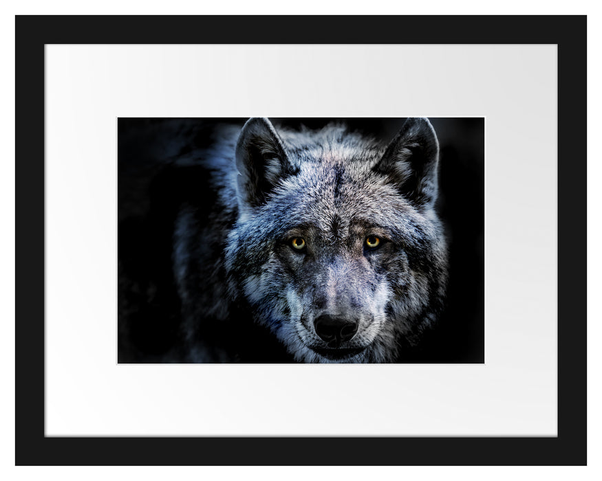 Pixxprint Nahaufnahme Wolf mit gelben Augen, im Galerie-Passepartout Bilderrahmen