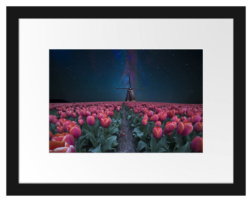Pixxprint Tulpenfeld mit Windmühle bei Nacht, im Galerie-Passepartout Bilderrahmen