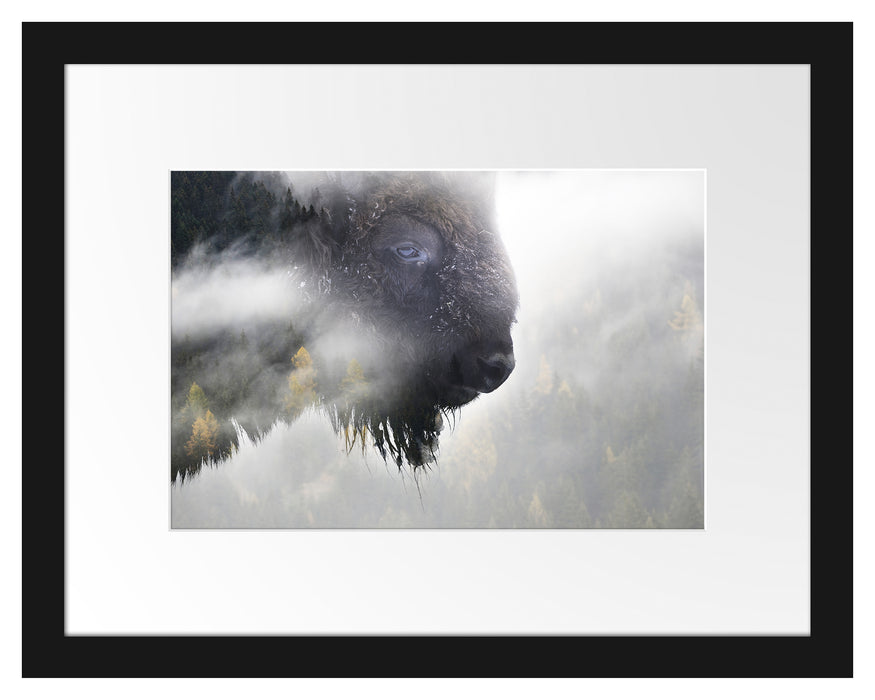 Pixxprint Wildes Bison in nebeligem Wald, im Galerie-Passepartout Bilderrahmen