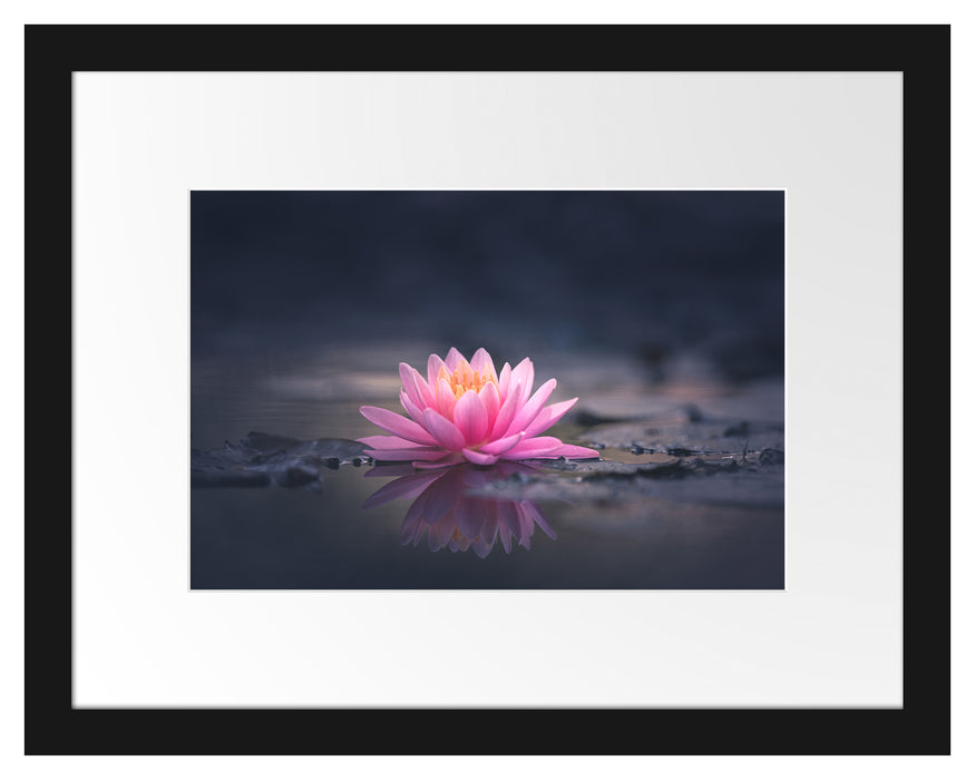 Pixxprint Leuchtende Lotusblüte auf grauer Pfütze, im Galerie-Passepartout Bilderrahmen