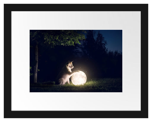 Hund mit leuchtendem Mond bei Nacht Passepartout Rechteckig 30