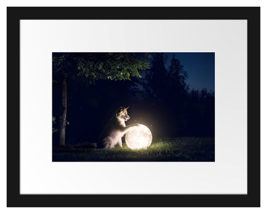 Pixxprint Hund mit leuchtendem Mond bei Nacht, im Galerie-Passepartout Bilderrahmen