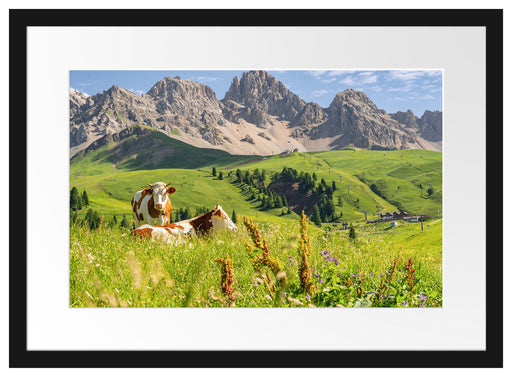 Alpenszene mit Kühen auf grüner Wiese Passepartout Rechteckig 40