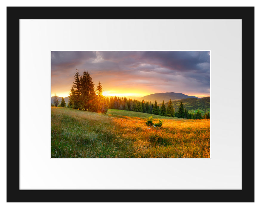 Pixxprint Wiesenlandschaft bei Sonnenuntergang, im Galerie-Passepartout Bilderrahmen