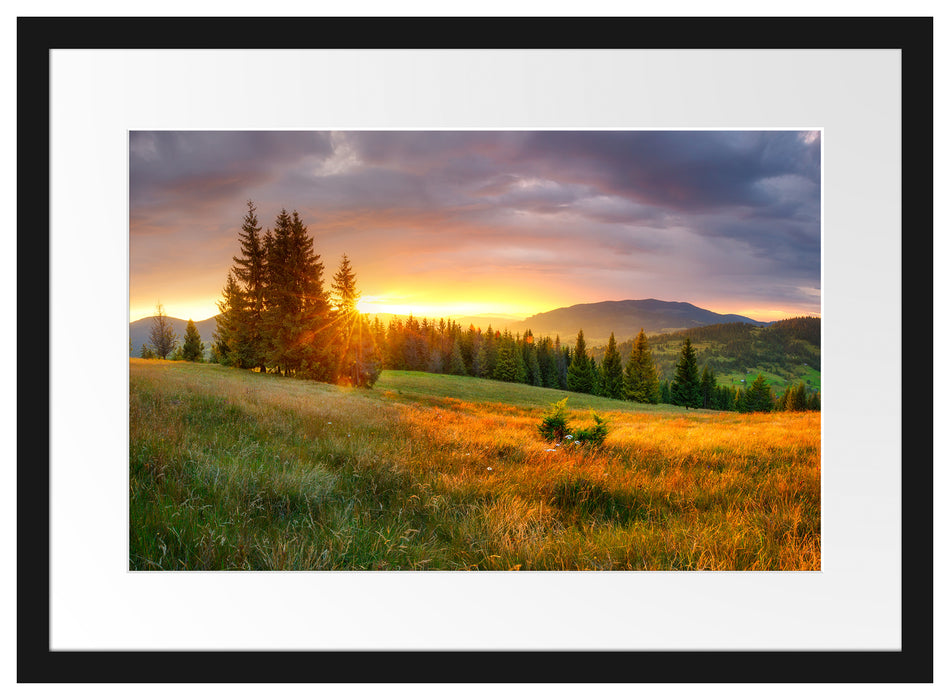 Wiesenlandschaft bei Sonnenuntergang Passepartout Rechteckig 40