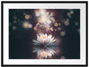 Magische Lotusblüte mit Glitzerstaub Passepartout Rechteckig 80