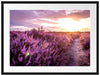 Lavendellandschaft bei Sonnenuntergang Passepartout Rechteckig 80