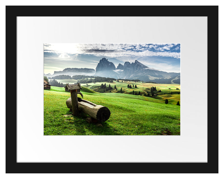 Pixxprint Wassertrog auf Wiese in den Dolomiten, im Galerie-Passepartout Bilderrahmen