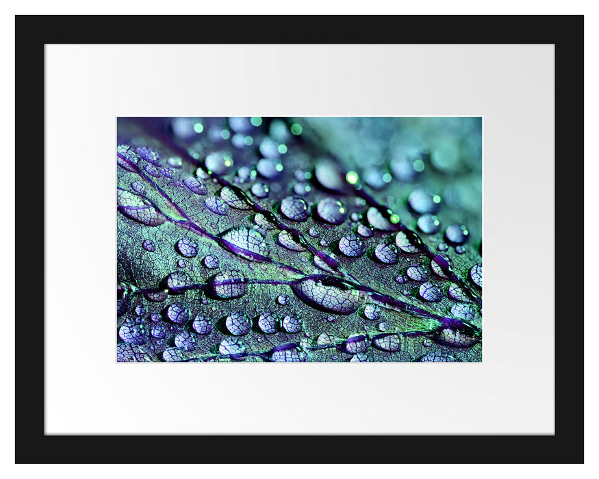 Pixxprint Nahaufnahme Wassertropfen auf Blatt, im Galerie-Passepartout Bilderrahmen