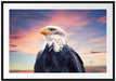 Weisskopfseeadler im Sonnenuntergang Passepartout Rechteckig 100