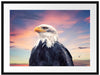Weisskopfseeadler im Sonnenuntergang Passepartout Rechteckig 80