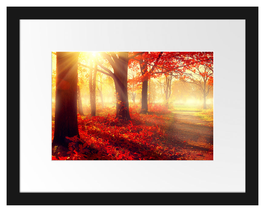 Pixxprint Sonnenstrahlen durch rote Herbstbäume, im Galerie-Passepartout Bilderrahmen