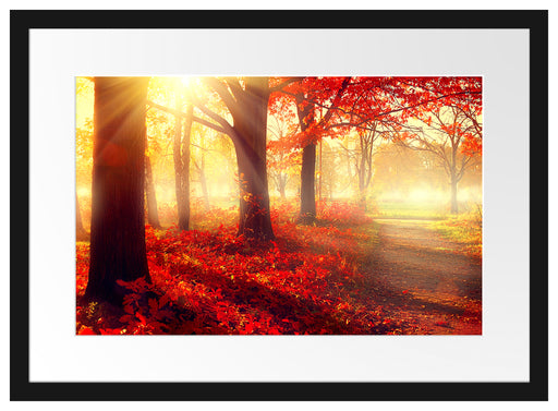 Sonnenstrahlen durch rote Herbstbäume Passepartout Rechteckig 40