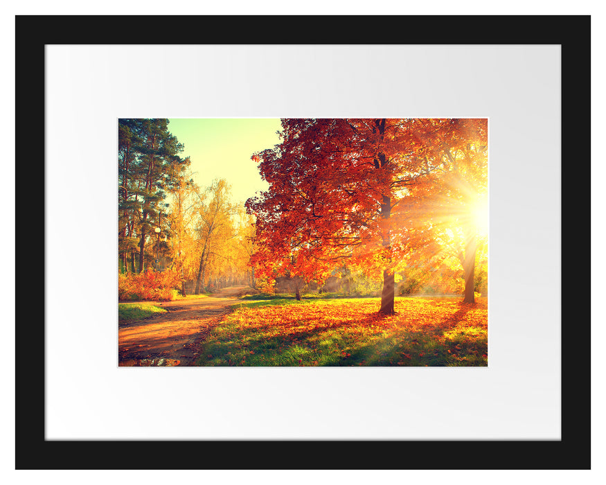 Pixxprint Weg durch bunten Herbstwald, im Galerie-Passepartout Bilderrahmen