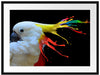 Papagei mit buntem Kamm Passepartout Rechteckig 80