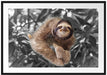 Lustiges Faultier hängt an Baum B&W Detail Passepartout Rechteckig 100