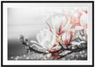Wunderschöne Magnolien Nahaufnahme B&W Detail Passepartout Rechteckig 100