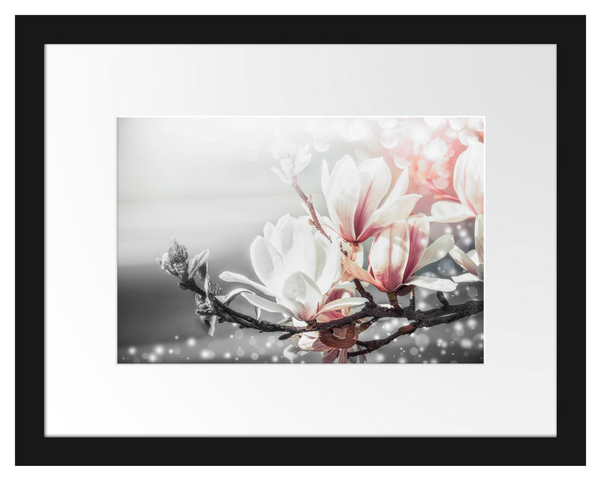 Pixxprint Wunderschöne Magnolien Nahaufnahme B&W Detail, im Galerie-Passepartout Bilderrahmen