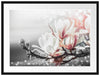 Wunderschöne Magnolien Nahaufnahme B&W Detail Passepartout Rechteckig 80