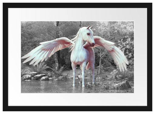 Pegasus im Fluss eines Herbstwaldes B&W Detail Passepartout Rechteckig 40