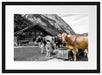 Kühe auf Almwiese am Trog B&W Detail Passepartout Rechteckig 40