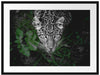 gefährlicher Panther im Wald von oben B&W Detail Passepartout Rechteckig 80