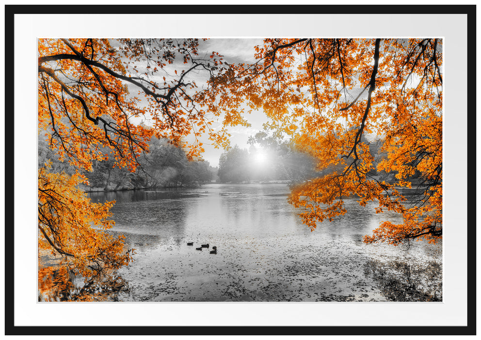 Herbstbäume um See bei Sonnenuntergang B&W Detail Passepartout Rechteckig 100