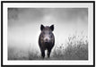 Wildschweinauf einer Wiese im Nebel B&W Detail Passepartout Rechteckig 100