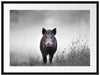 Wildschweinauf einer Wiese im Nebel B&W Detail Passepartout Rechteckig 80