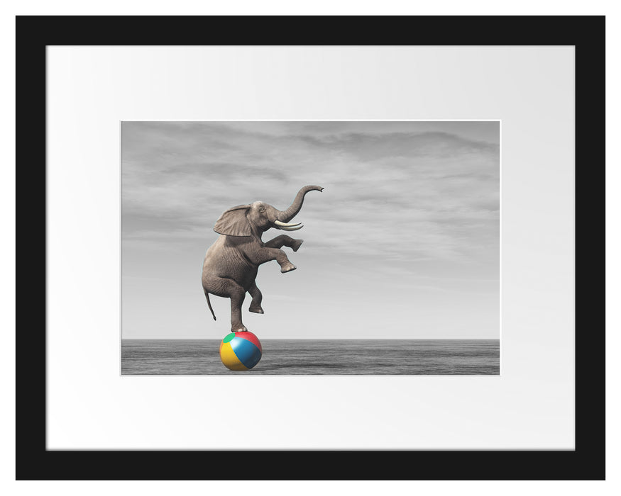 Elefant in der Wüste balanciert auf Ball B&W Detail Passepartout Rechteckig 30