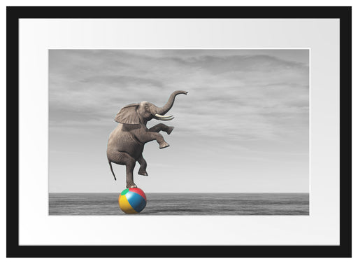 Elefant in der Wüste balanciert auf Ball B&W Detail Passepartout Rechteckig 40