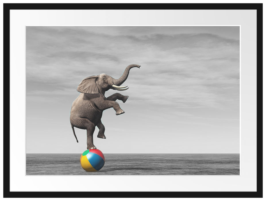 Elefant in der Wüste balanciert auf Ball B&W Detail Passepartout Rechteckig 80