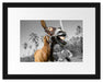 Lustiger lachender Esel unter Palmen B&W Detail Passepartout Rechteckig 30